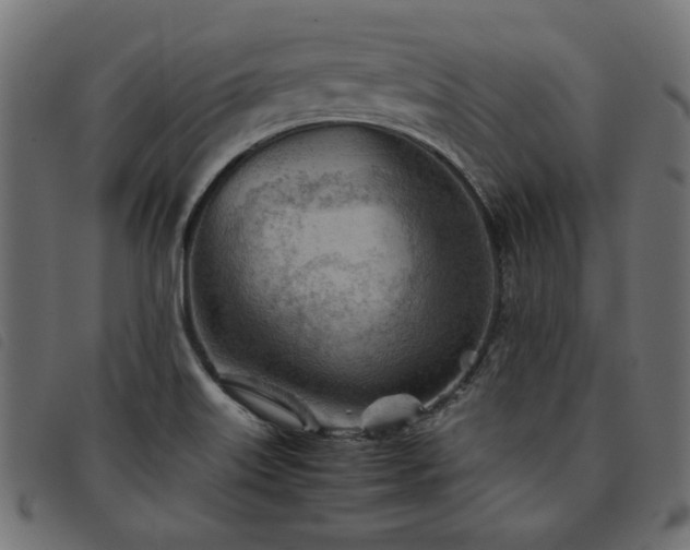 X0000093771515200710161232