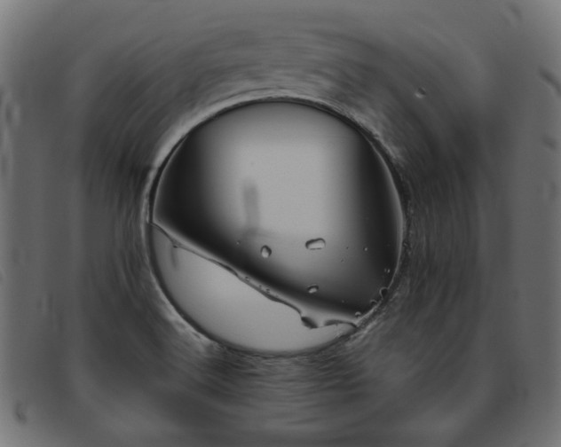 X0000093771516200710161232