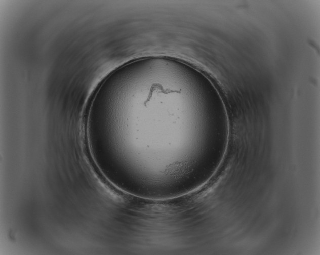 X0000093771517200710161232
