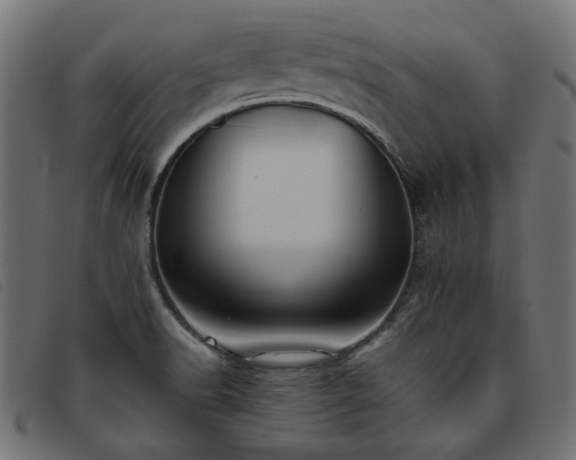 X0000093771518200710161232