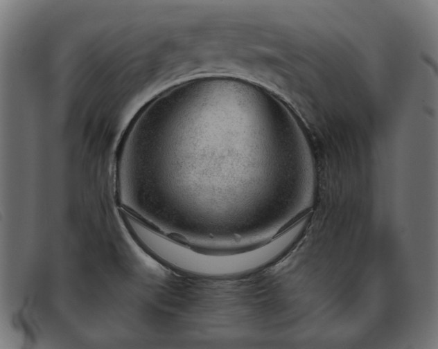 X0000093771519200710161232