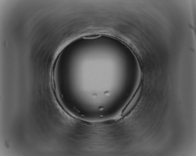 X0000093771520200710161232