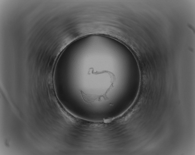 X0000093771521200710161232
