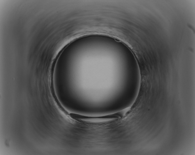 X0000093771523200710161232