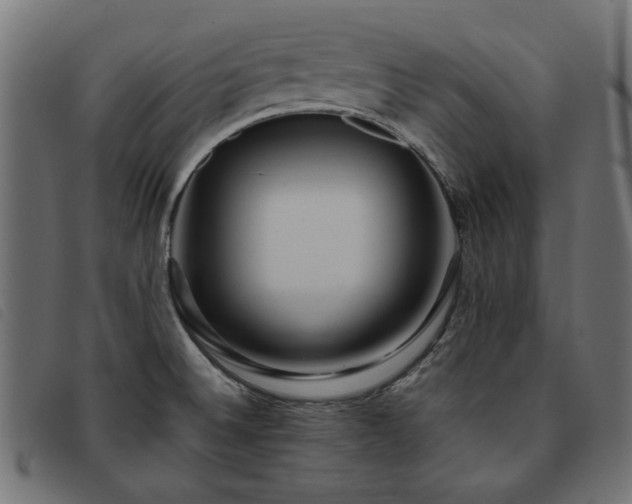 X0000093771524200710161232