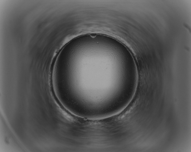 X0000093771525200710161232
