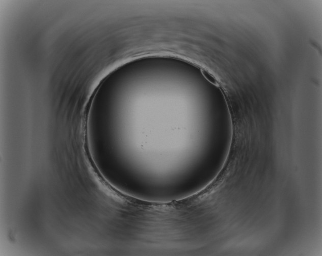 X0000093771526200710161232