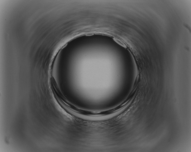 X0000093771528200710161232