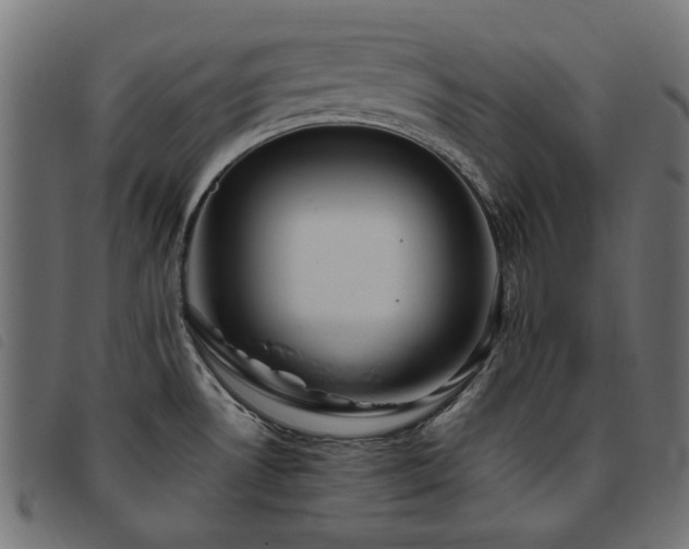 X0000093771530200710161232
