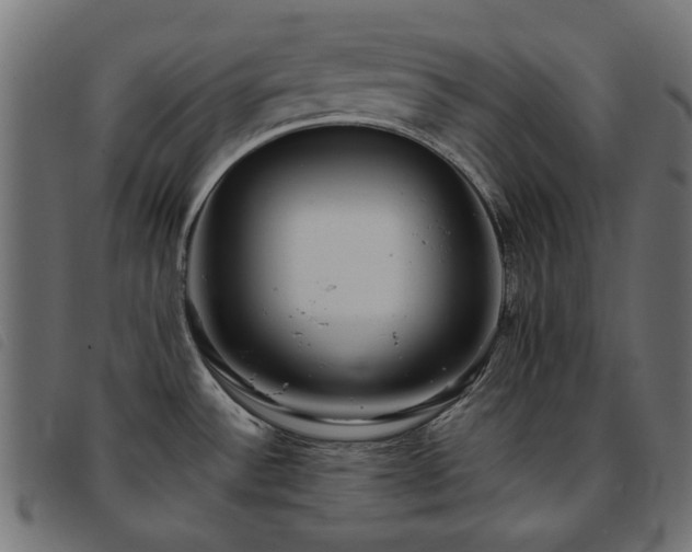 X0000093771532200710161232