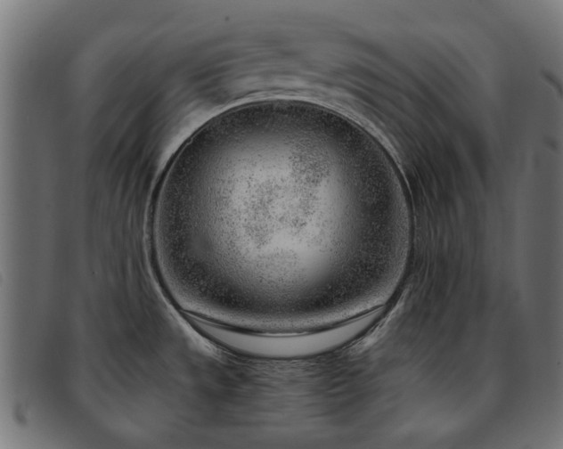X0000093771533200710161232