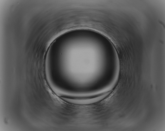 X0000093771534200710161232