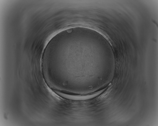 X0000093771535200710161232