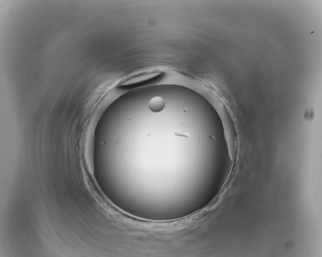 X0000093770001200710231321