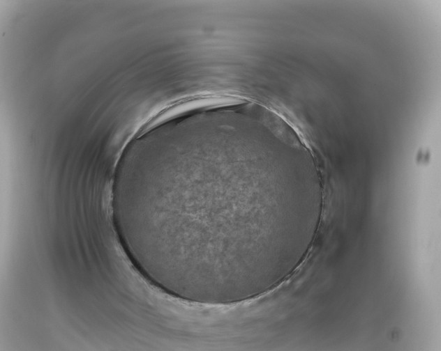 X0000093770002200710231321