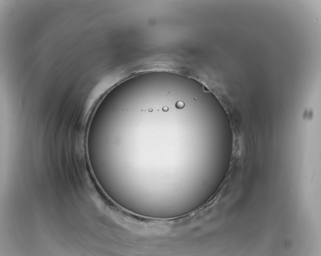 X0000093770004200710231321