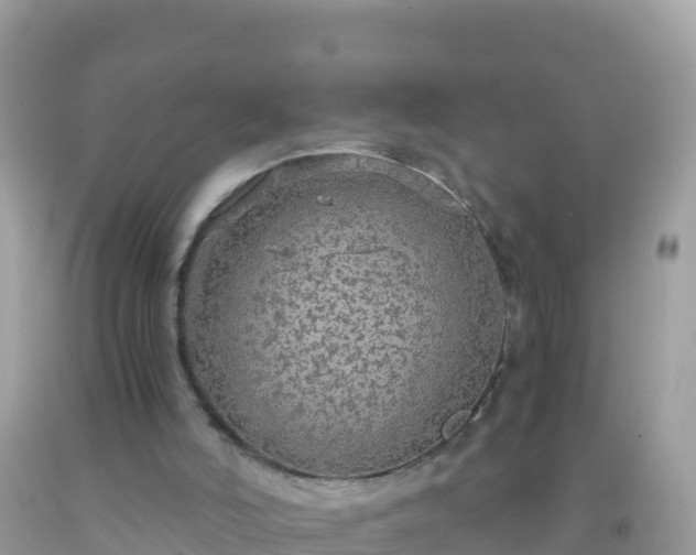 X0000093770006200710231321