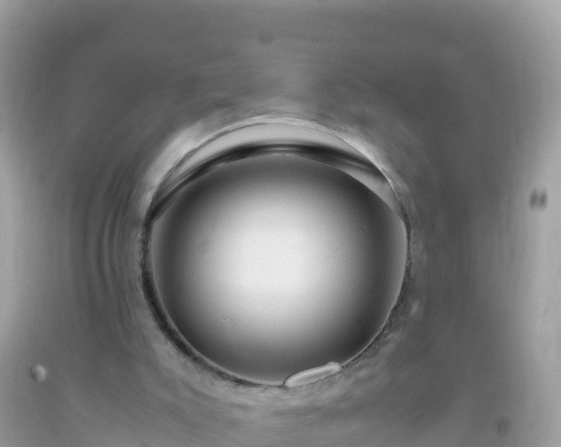 X0000093770007200710231321