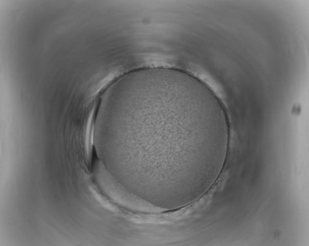 X0000093770009200710231321