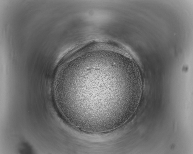 X0000093770010200710231321