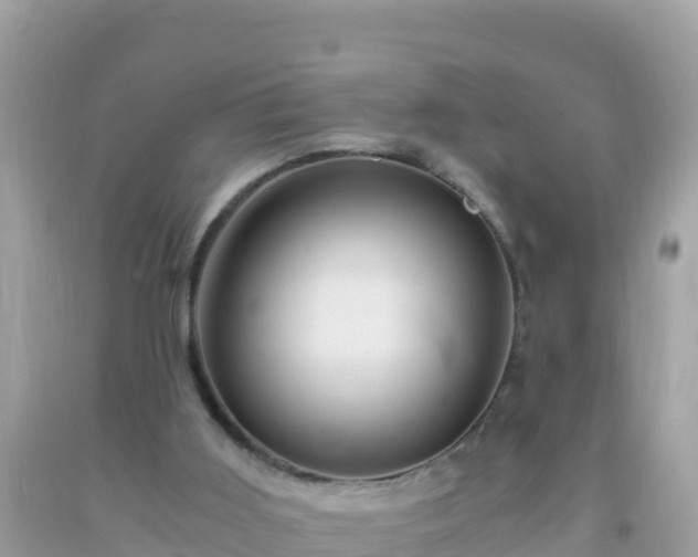 X0000093770011200710231321