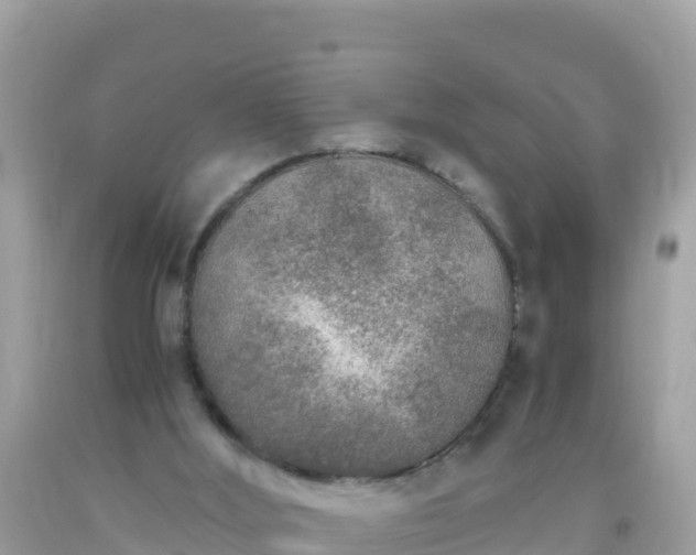 X0000093770012200710231321