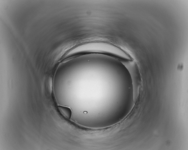 X0000093770013200710231321