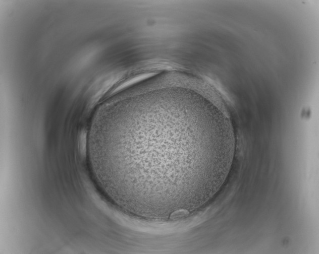 X0000093770014200710231321