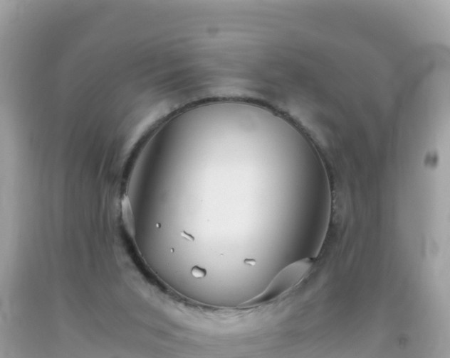 X0000093770015200710231321