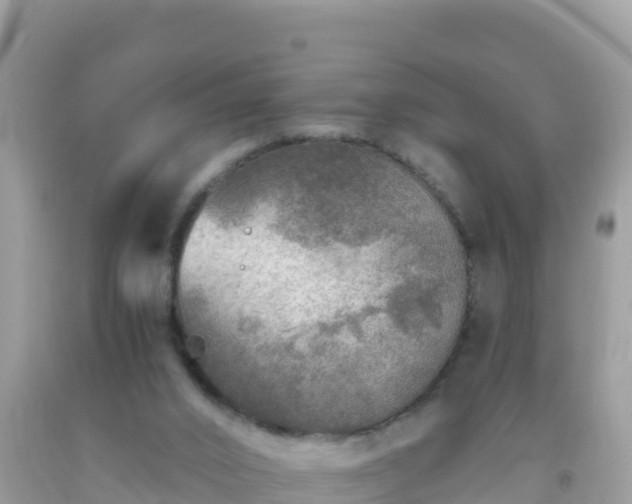 X0000093770016200710231321