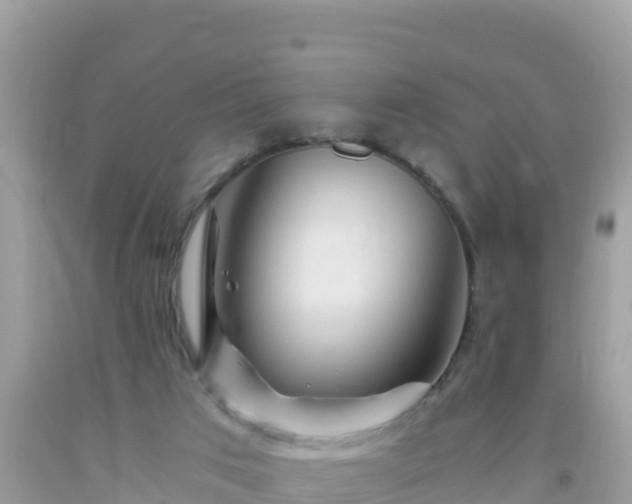 X0000093770017200710231321