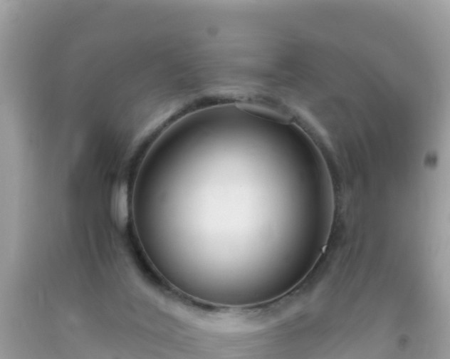 X0000093770020200710231321