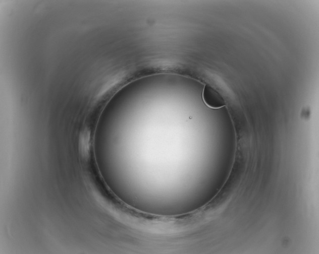 X0000093770024200710231321