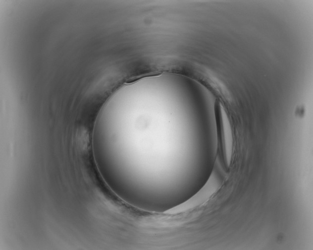 X0000093770025200710231321