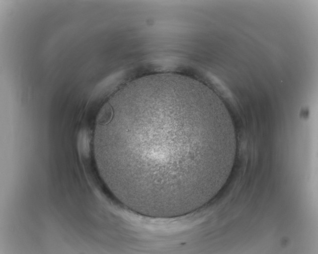 X0000093770026200710231321