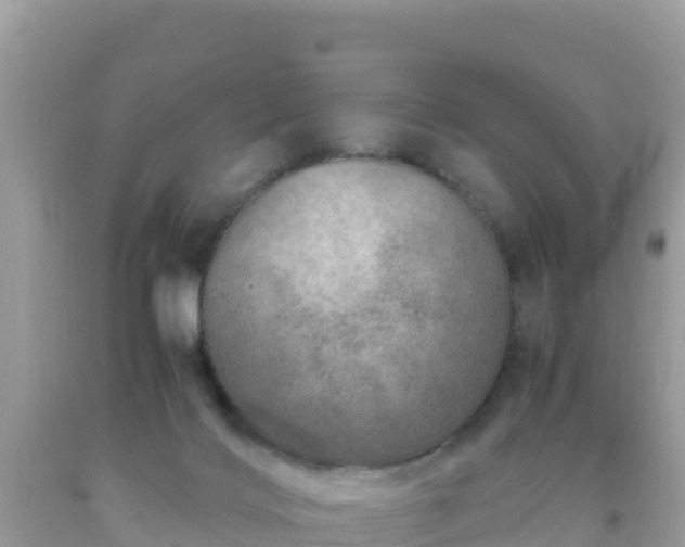 X0000093770028200710231321