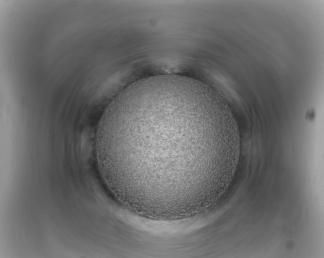 X0000093770030200710231321