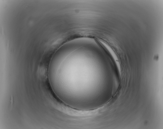 X0000093770031200710231321