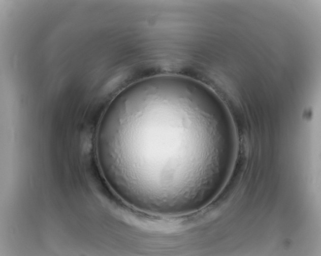 X0000093770032200710231321