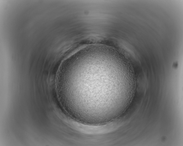 X0000093770034200710231321