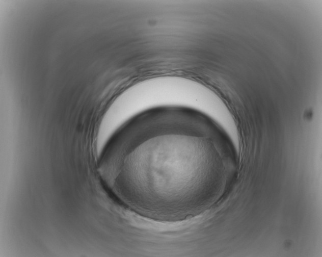 X0000093770035200710231321