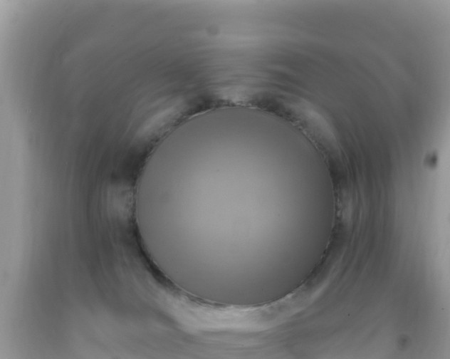 X0000093770036200710231321