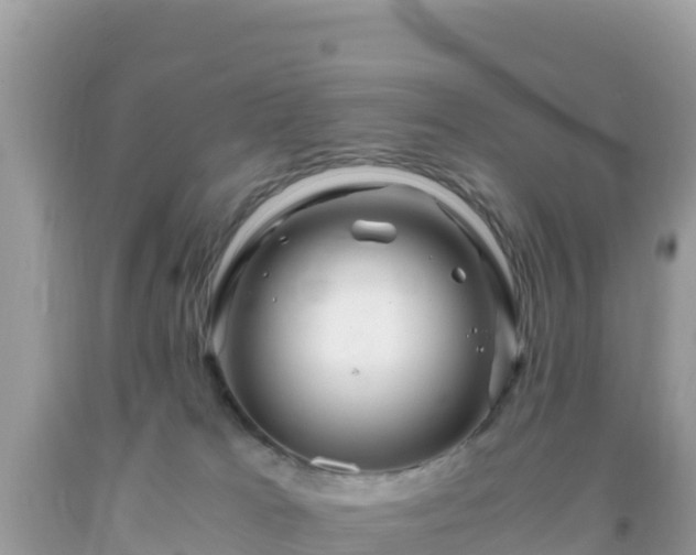 X0000093770037200710231321