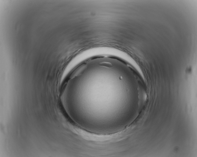 X0000093770039200710231321