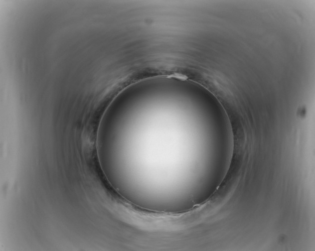 X0000093770040200710231321