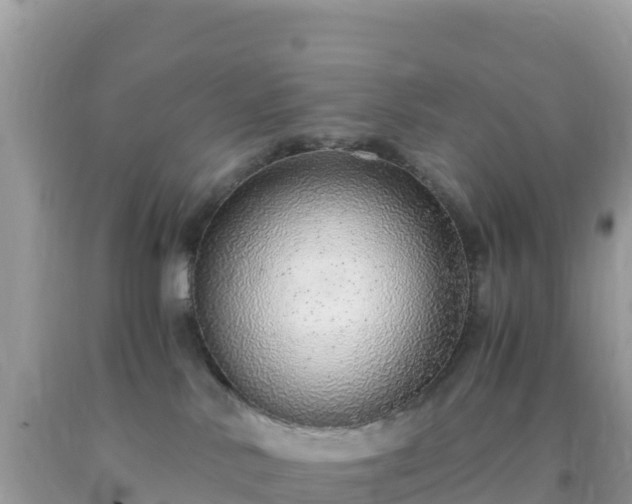 X0000093770042200710231321