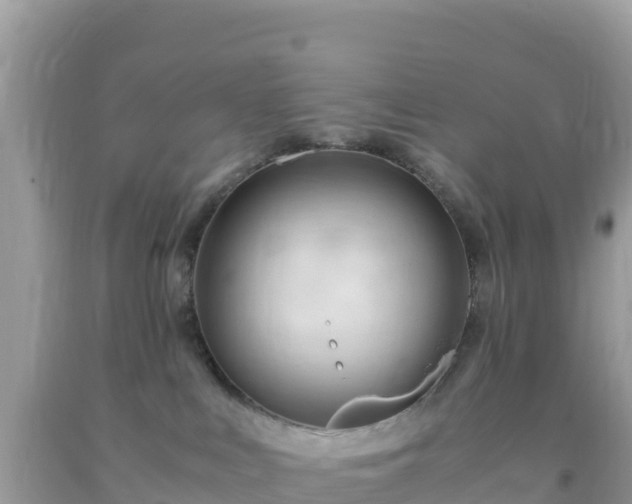 X0000093770043200710231321