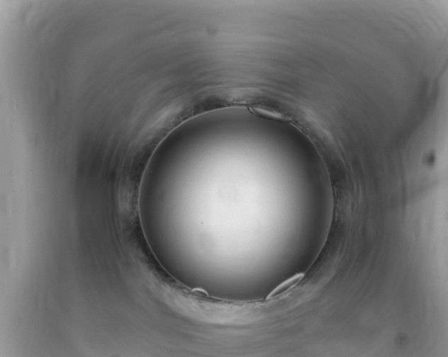 X0000093770044200710231321