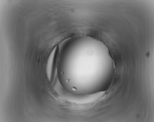 X0000093770045200710231321