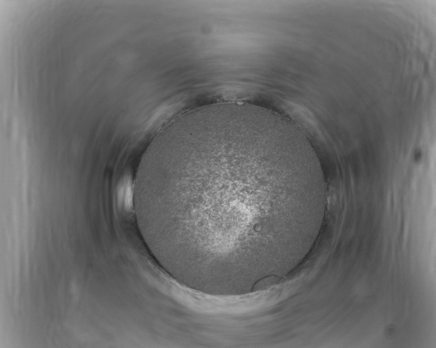 X0000093770046200710231321